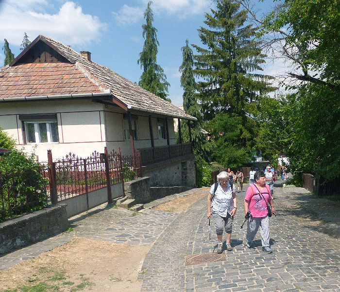 image6.png