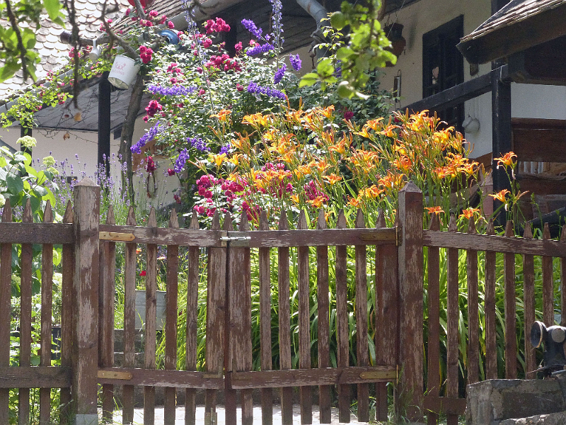 image97.png