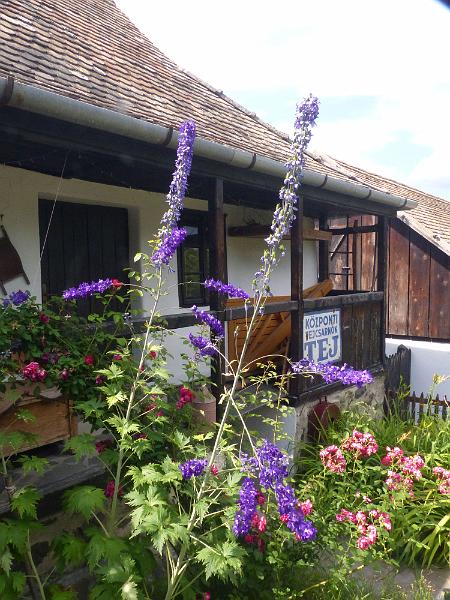 image992.png