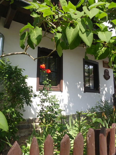 image995.png