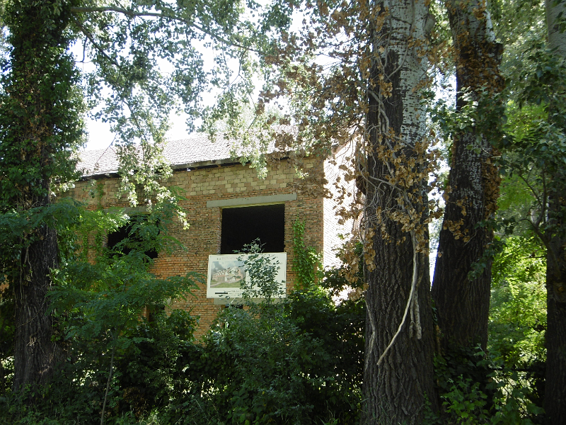 image8.png