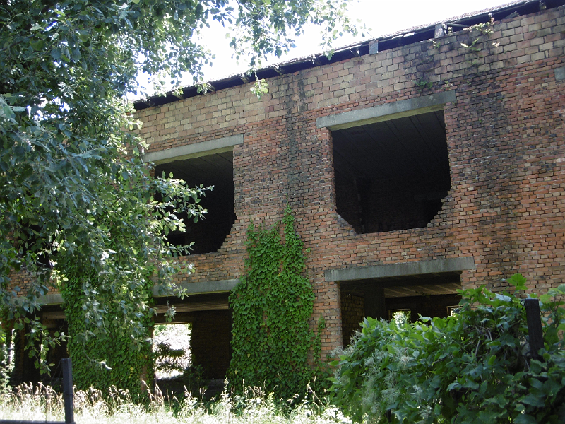 image9.png