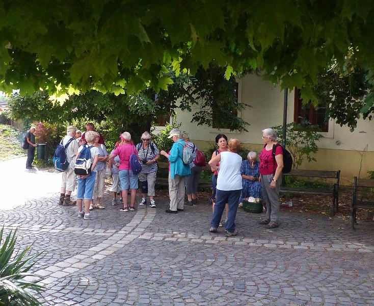 P1290923.jpg