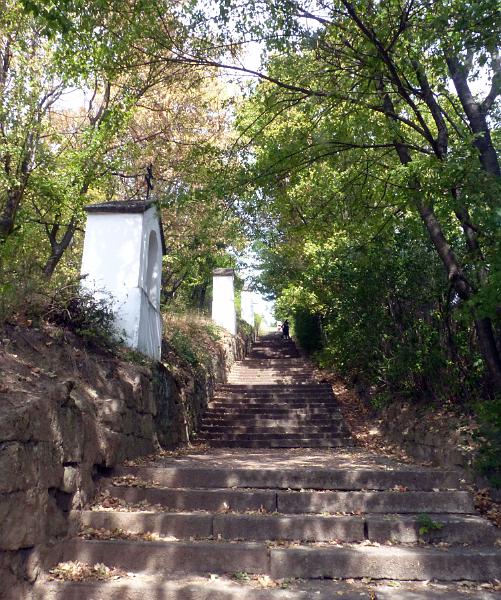P1290934.jpg