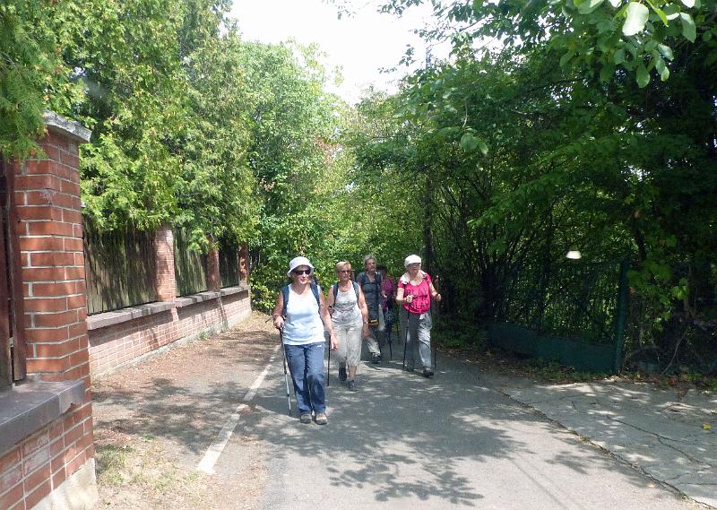 P1290937.jpg