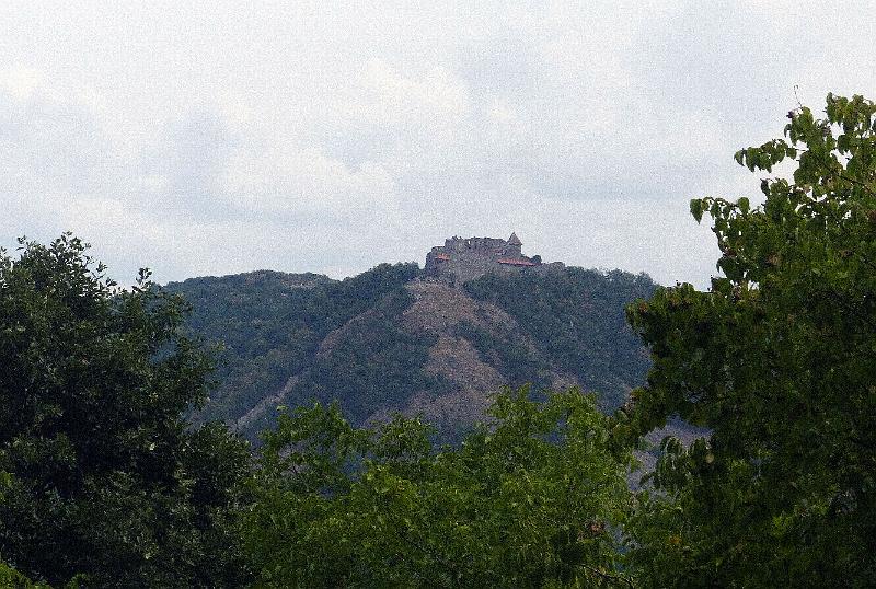P1290952.jpg