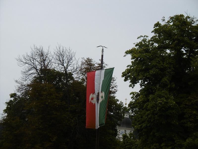 P3340510.JPG
