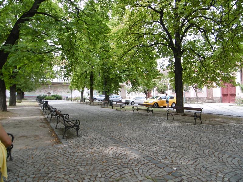 P3340512.JPG