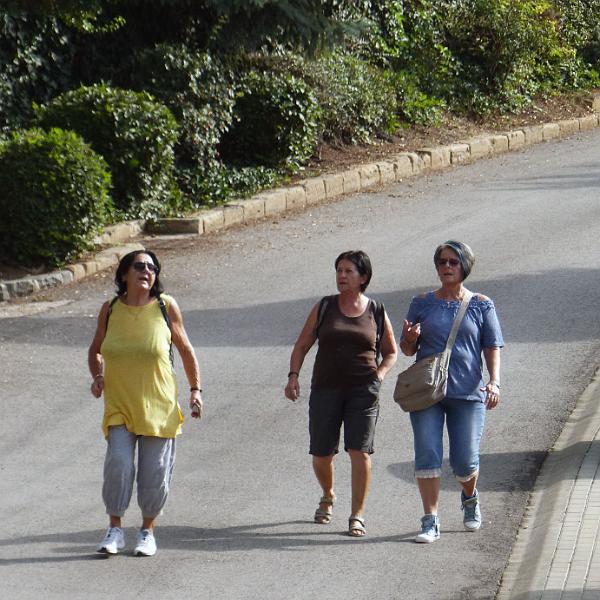 P1290965.jpg