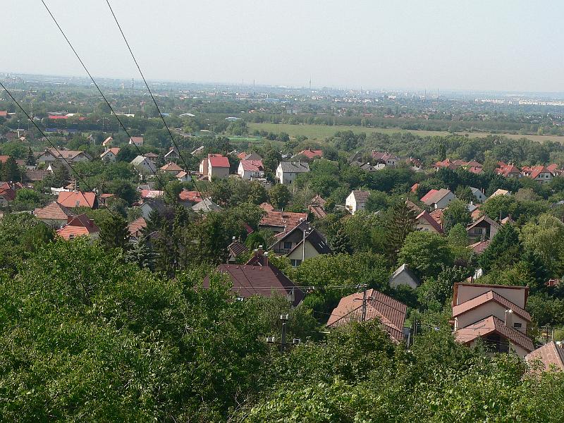 P1070302.JPG