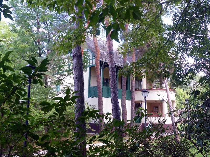 P1300014.jpg