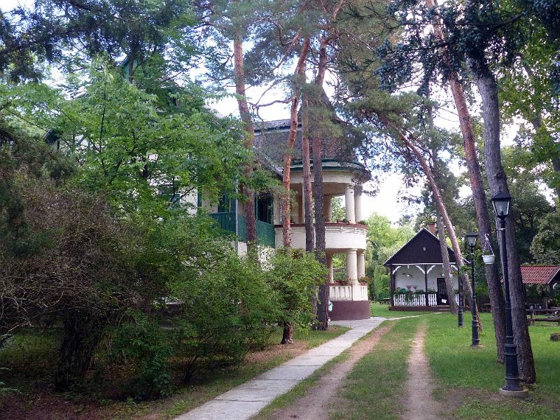 P1300015.jpg