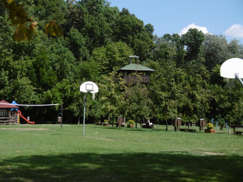 P3340523.JPG