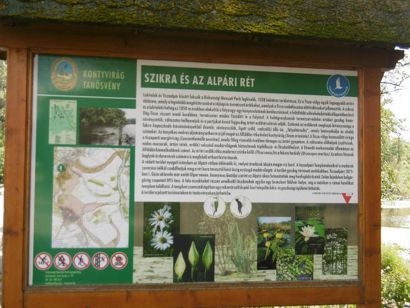 P3340525.JPG