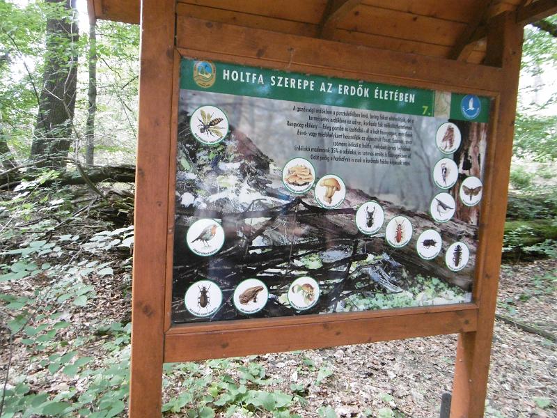 P3340543.JPG