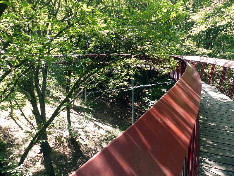 P1300074.jpg