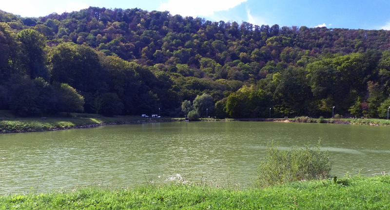 P1300077.jpg