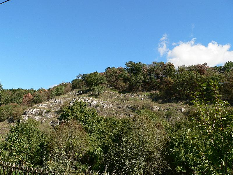 P1070389.JPG