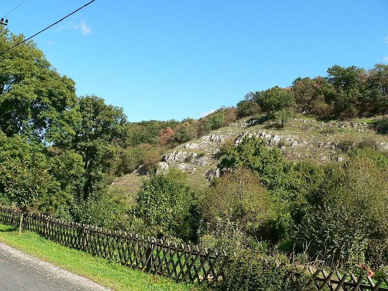 P1070390.JPG