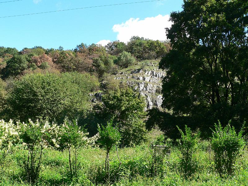 P1070391.JPG