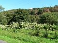 P1070392