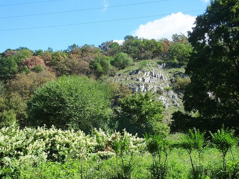 DSCF2682.JPG