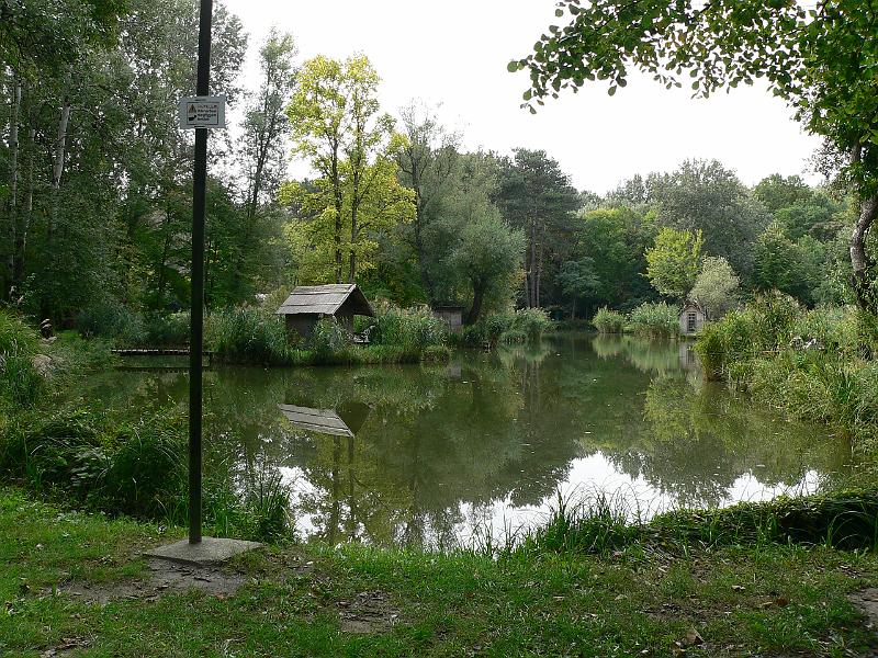 P1070509.JPG