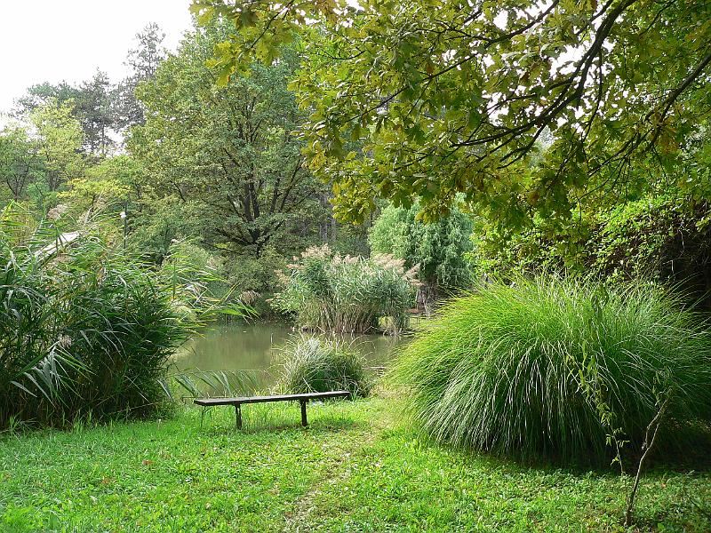 P1070519.JPG
