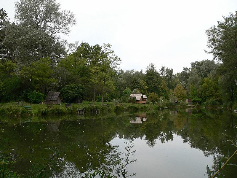 P1070525.JPG