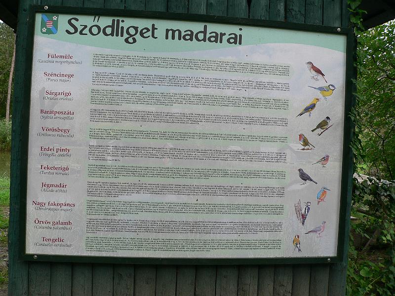 P1070526.JPG