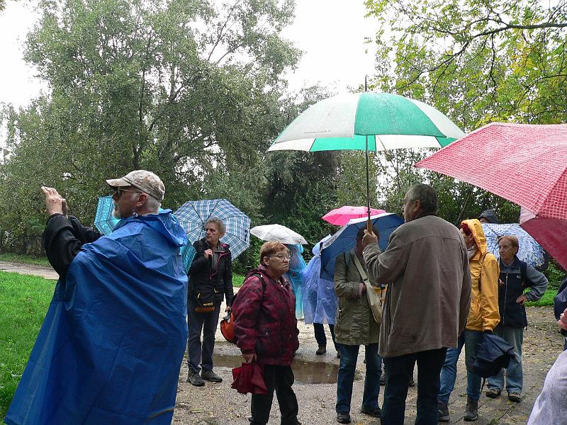 P1070534.JPG