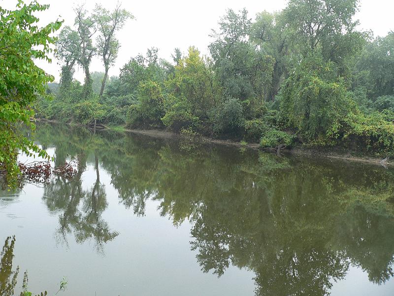P1070561.JPG