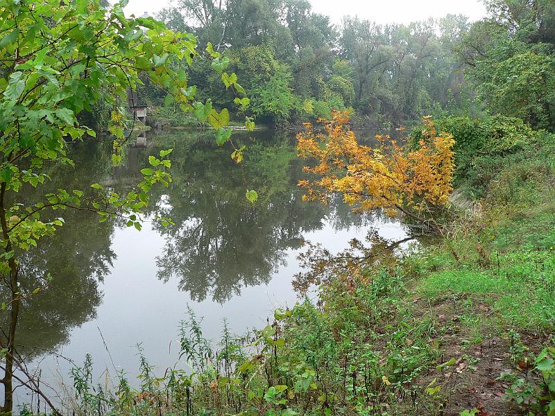 P1070570.JPG