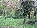 P1070532