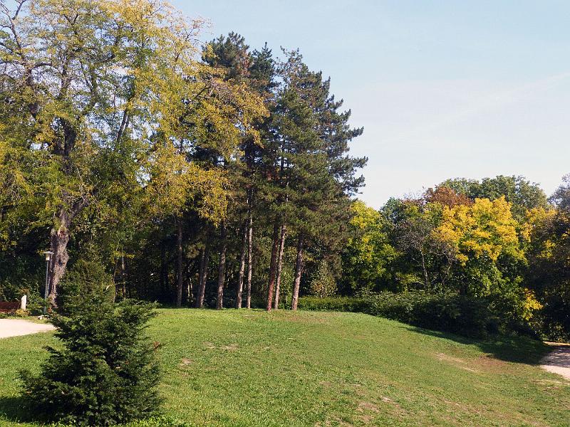 P1300422-(003).jpg
