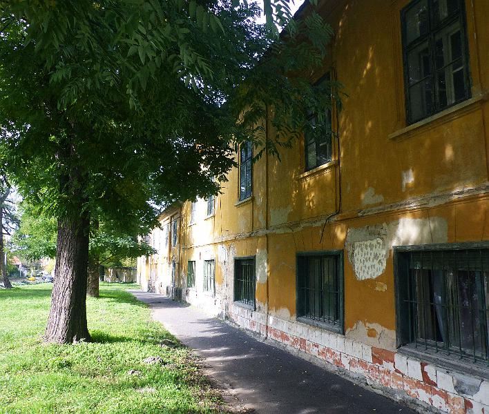 P1300422-(017).jpg