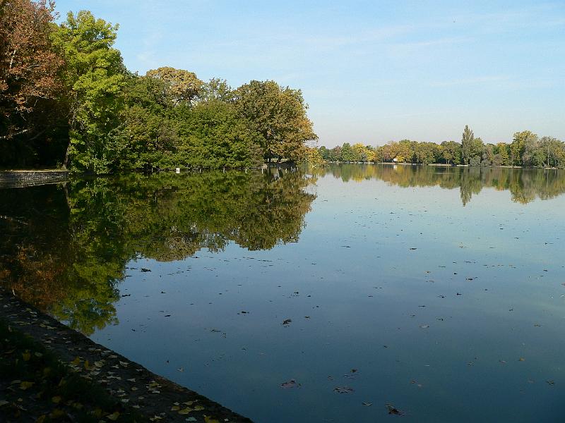 P1070586.JPG