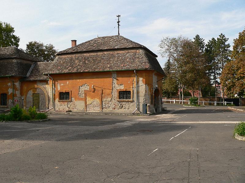 P1070646.JPG