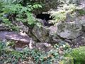 P1070607