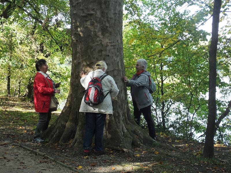 DSCF2827.JPG