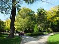 DSCF2838