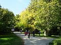 DSCF2839