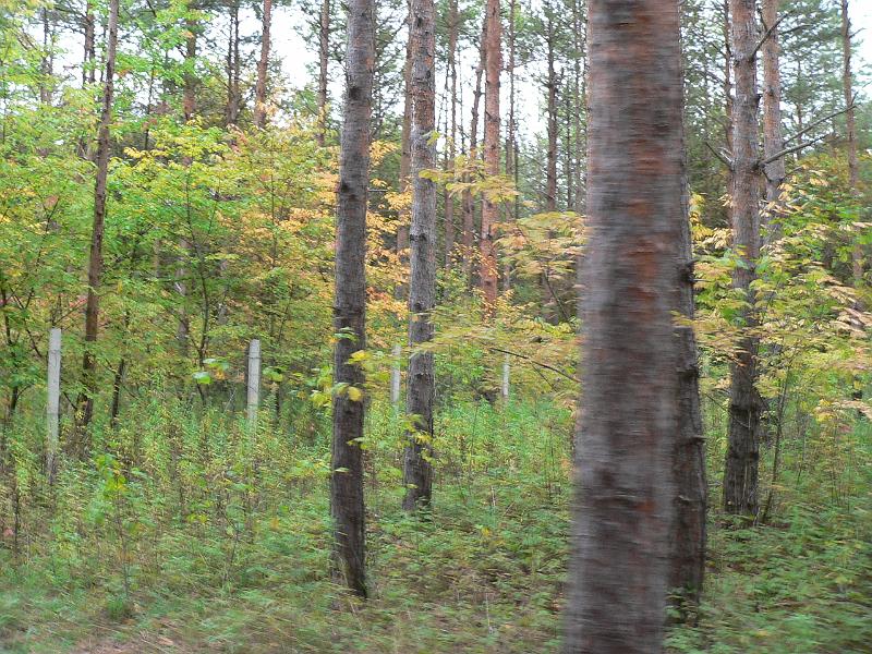 P1070666.JPG
