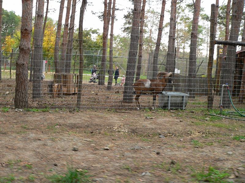 P1070683.JPG