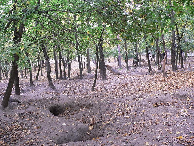 P1070684.JPG