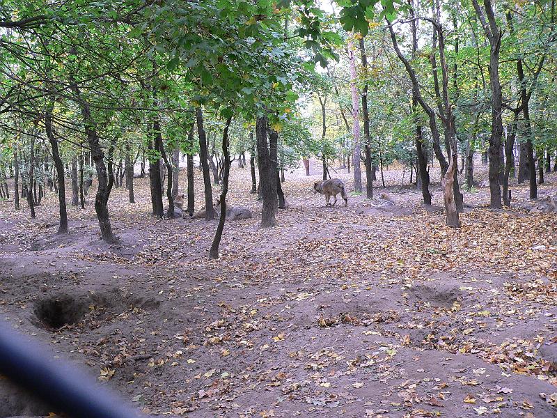 P1070685.JPG