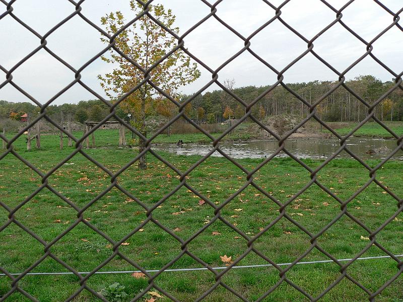 P1070709.JPG