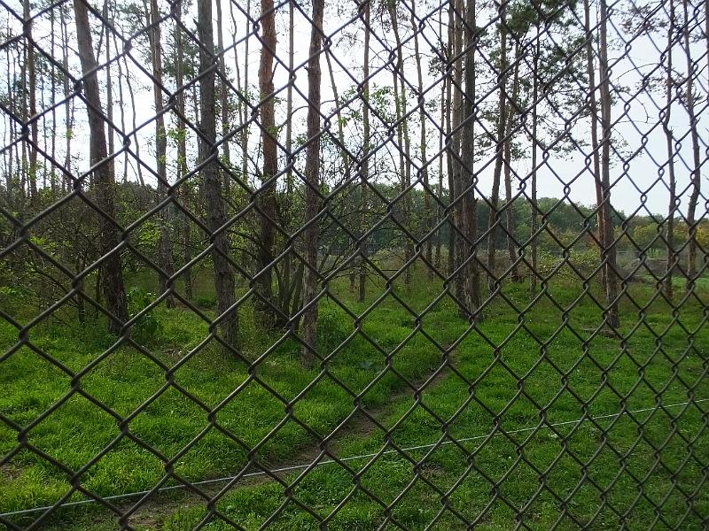 DSCF2858.JPG