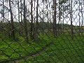 DSCF2858