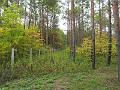 DSCF2865